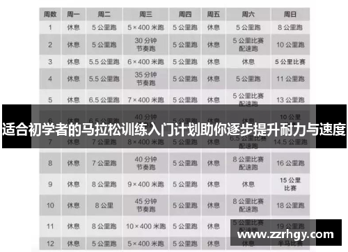 适合初学者的马拉松训练入门计划助你逐步提升耐力与速度